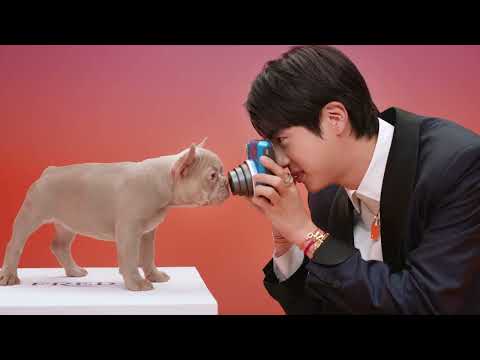 Jin invites you to Sunny FREDland