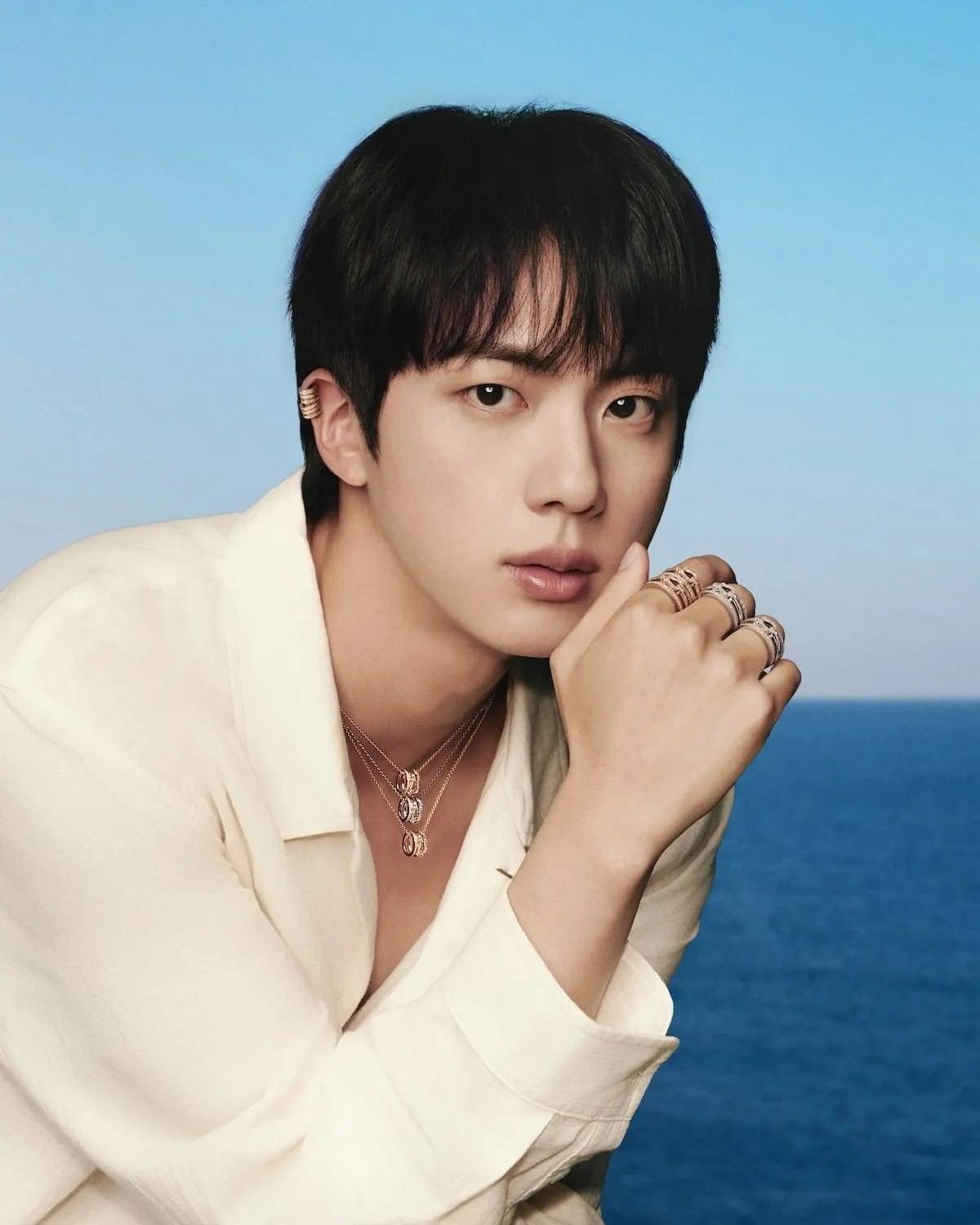 Jin × FRED campaign