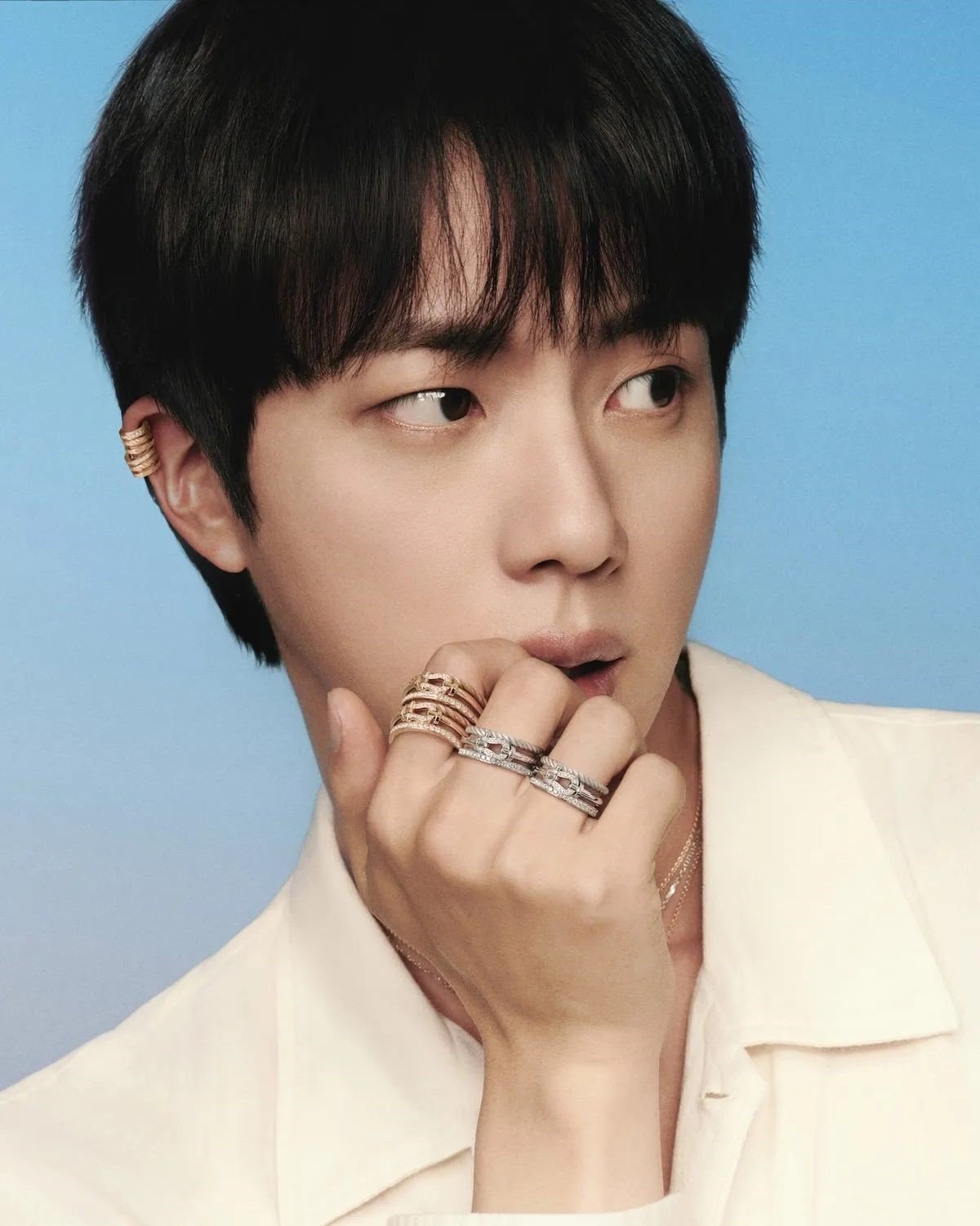 Jin × FRED campaign